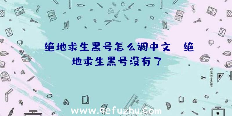 「绝地求生黑号怎么调中文」|绝地求生黑号没有了